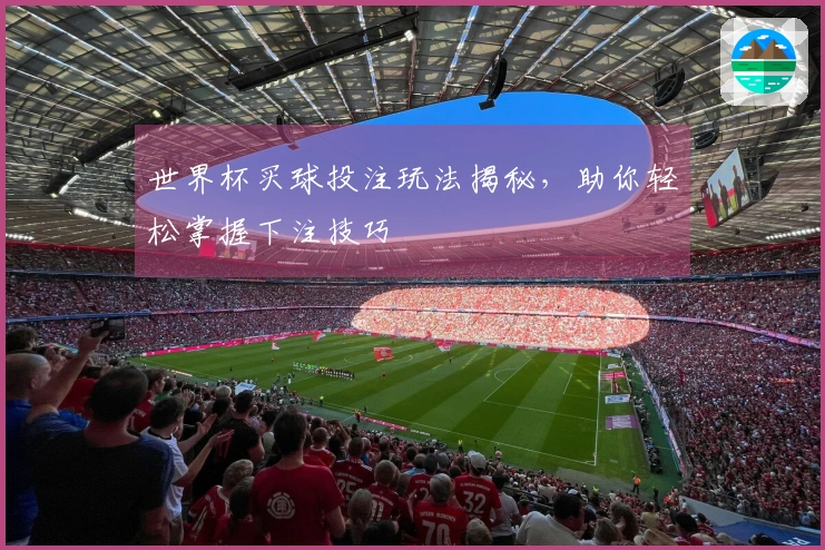 世界杯买球投注玩法揭秘，助你轻松掌握下注技巧