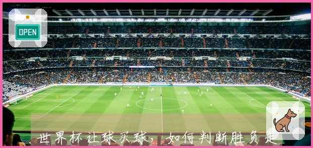 世界杯让球买球，如何判断胜负走势来下注