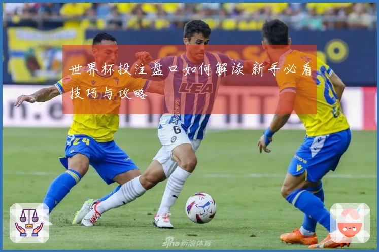 世界杯投注盘口如何解读 新手必看技巧与攻略
