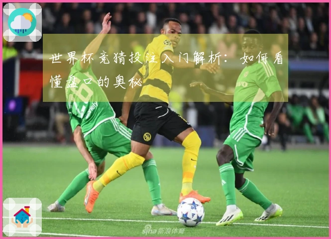 世界杯竞猜投注入门解析：如何看懂盘口的奥秘