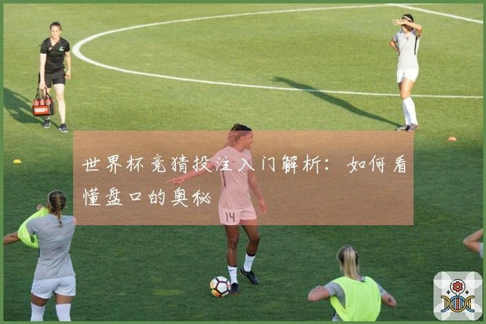 世界杯竞猜投注入门解析：如何看懂盘口的奥秘