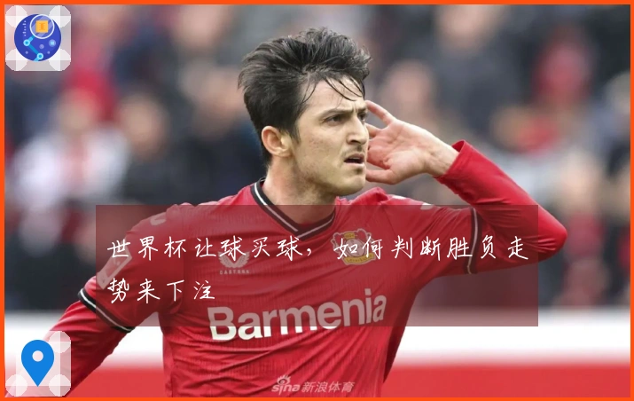 世界杯让球买球，如何判断胜负走势来下注